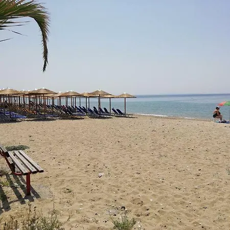 Sunny Coast Halkidiki!